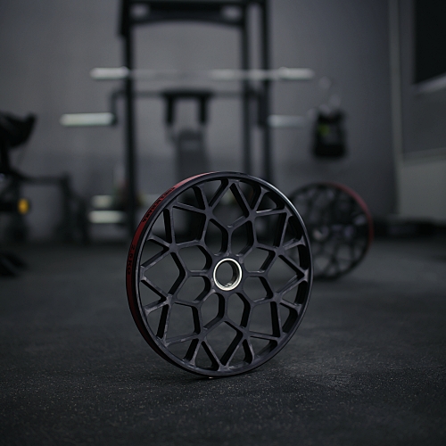 Technique plate 2.5kg